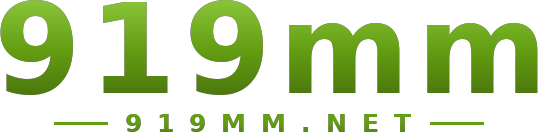 919mm logo